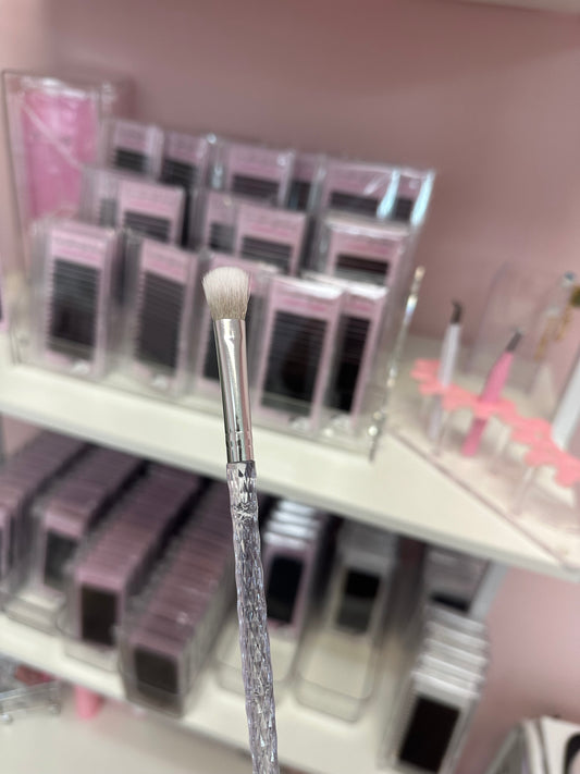 Wash Brush